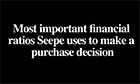 Video - The most important financial ratios Seepe uses to make a purchase decision